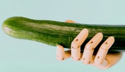 การทำแผนที่องคชาต – แผนที่ลับแห่งความสุข